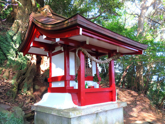 静岡】伊豆山神社｜縁結びのパワースポット 紅白二龍 伊豆山神社